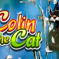 Colin the Cat