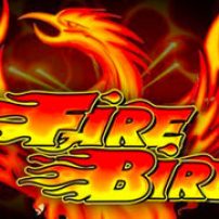 Fire Bird