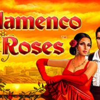 Flamenco Roses